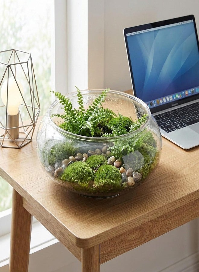 Toddmomy Large Clear Plastic Fish Bowl Round Terrarium Vase Goldfish Bowl Hydroponic Vase Water Lily Succulent Planter for Wedding Party Home Decor - Image 2